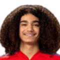 https://img.zyzdzcsd.com/img/football/player/87359ed9061cfd73513d827263deebcd.png