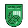 https://img.zyzdzcsd.com/img/football/team/3882641c32763fa14dd604e69c8ec31e.png